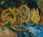 4 of 5 dagen Veluwe en Van Gogh